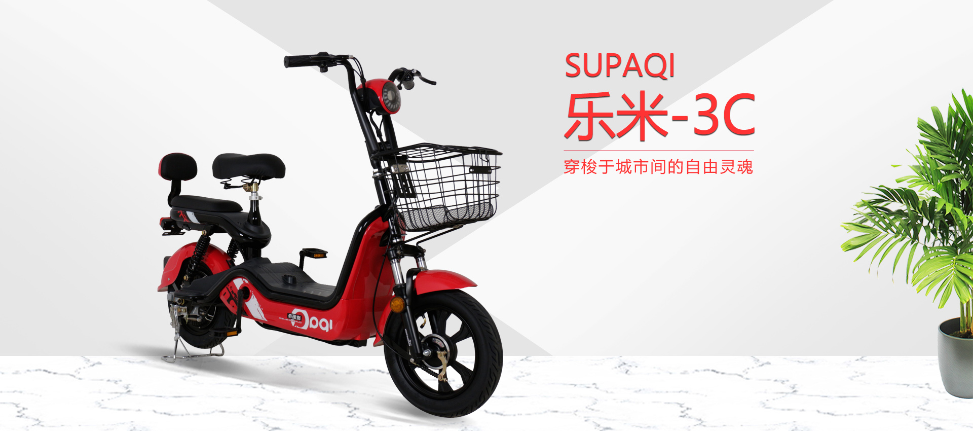 電動(dòng)自行車(chē)在未來(lái)十年將成為電動(dòng)車(chē)行業(yè)領(lǐng)導(dǎo)者嗎？